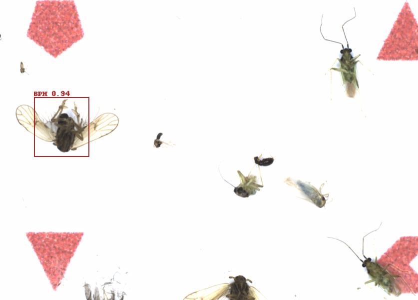 Fullscreen Image