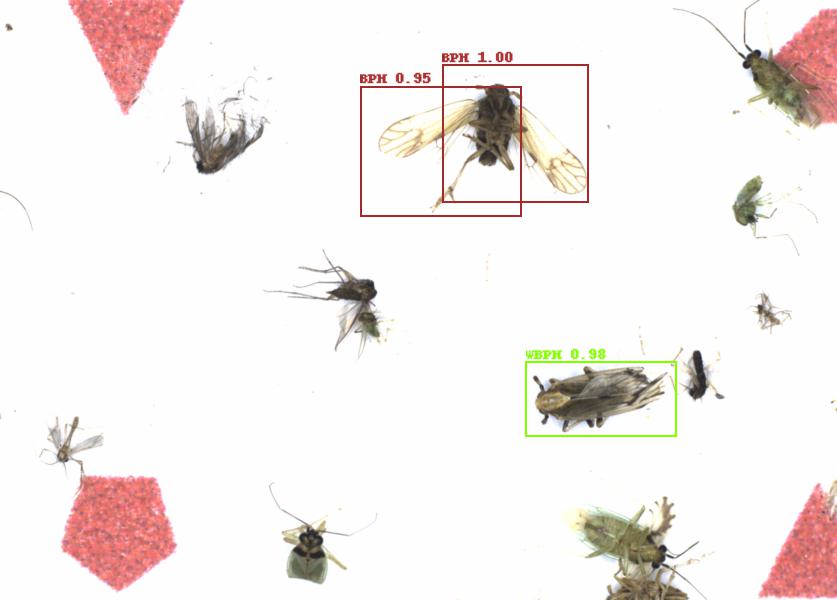 Fullscreen Image
