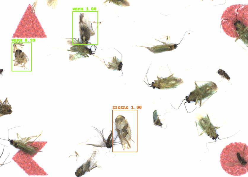 Fullscreen Image