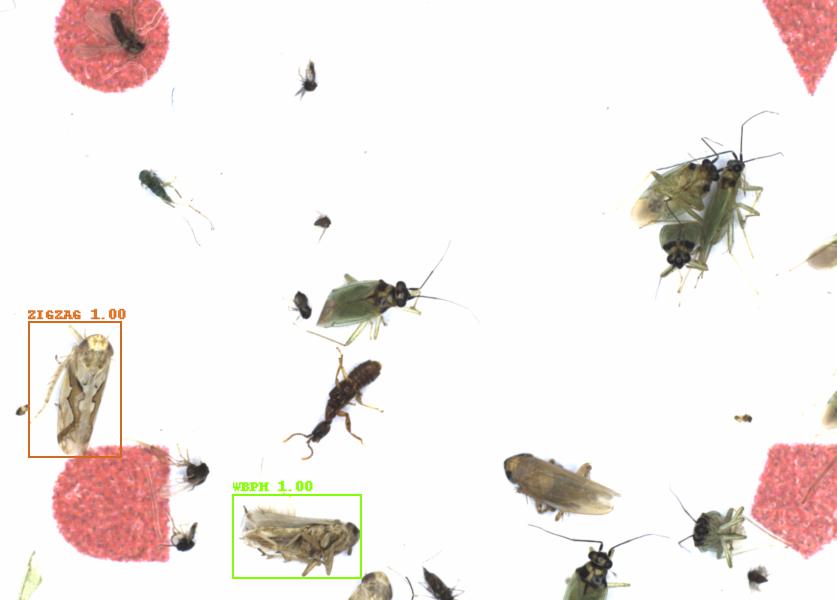 Fullscreen Image