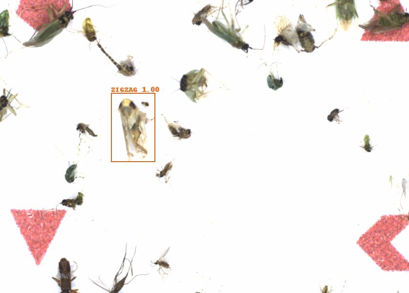 Fullscreen Image