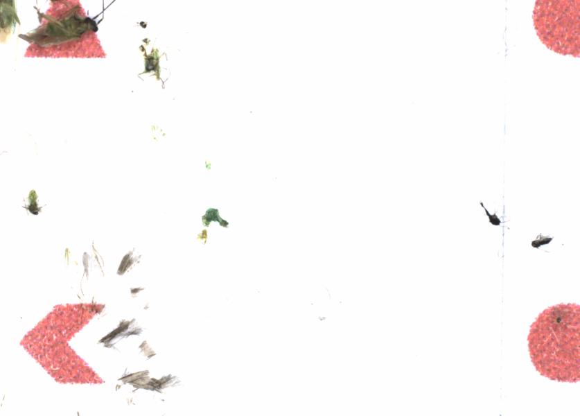 Fullscreen Image