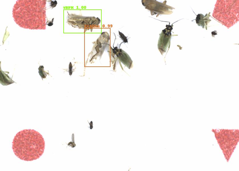 Fullscreen Image