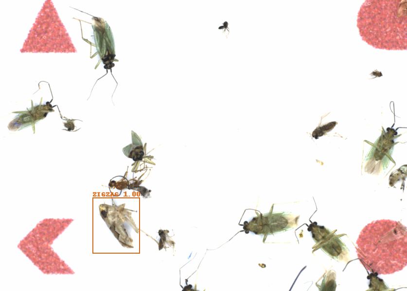 Fullscreen Image