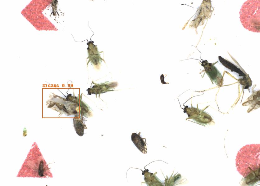 Fullscreen Image