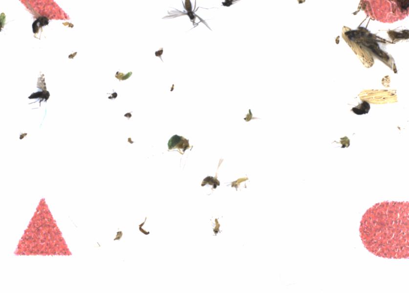 Fullscreen Image