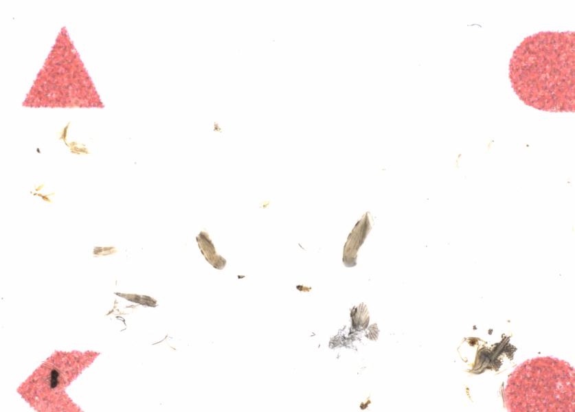 Fullscreen Image