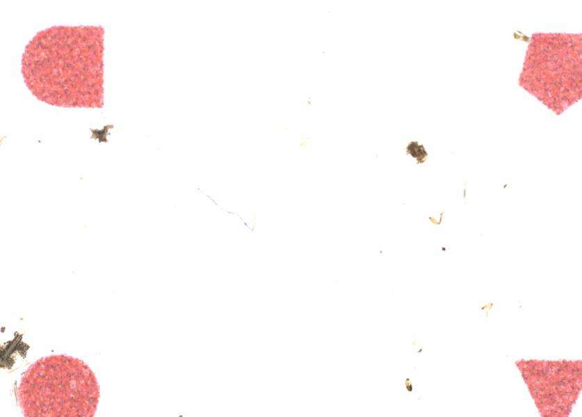 Fullscreen Image