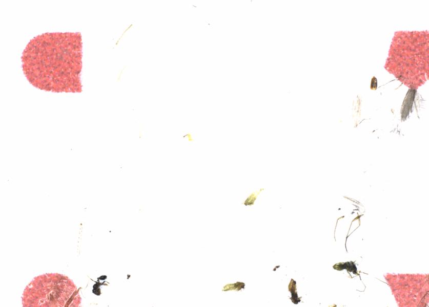 Fullscreen Image