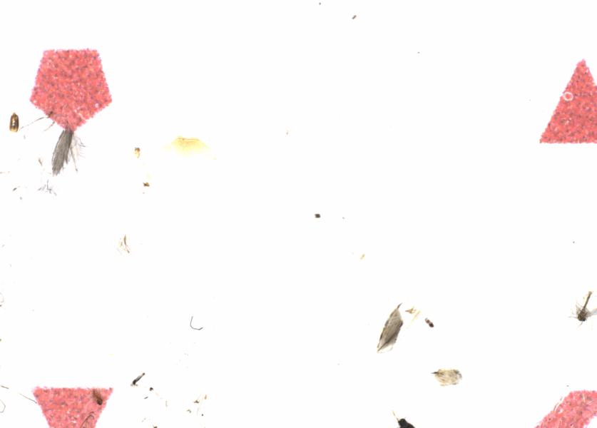 Fullscreen Image
