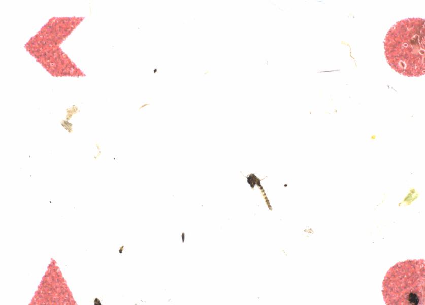 Fullscreen Image