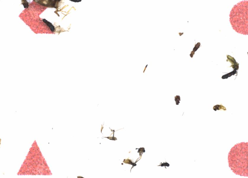 Fullscreen Image
