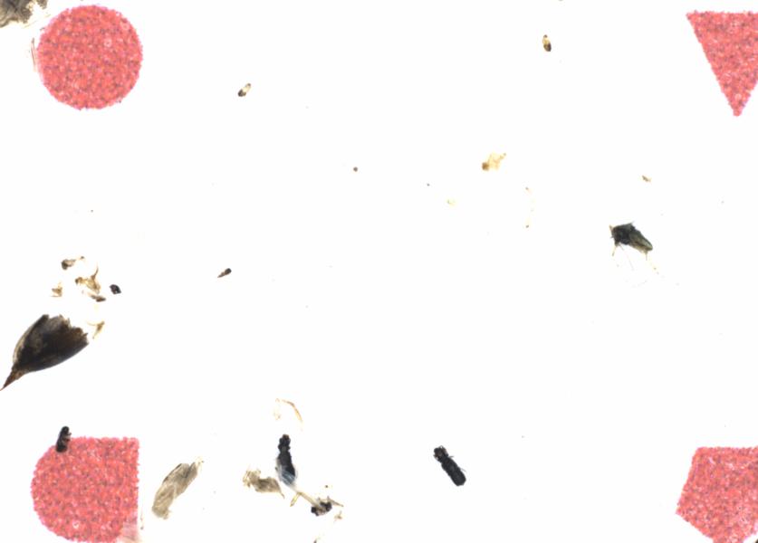 Fullscreen Image