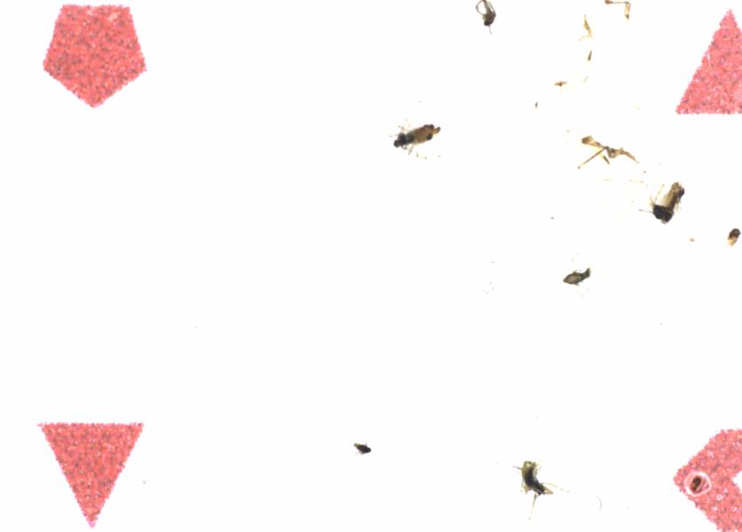 Fullscreen Image