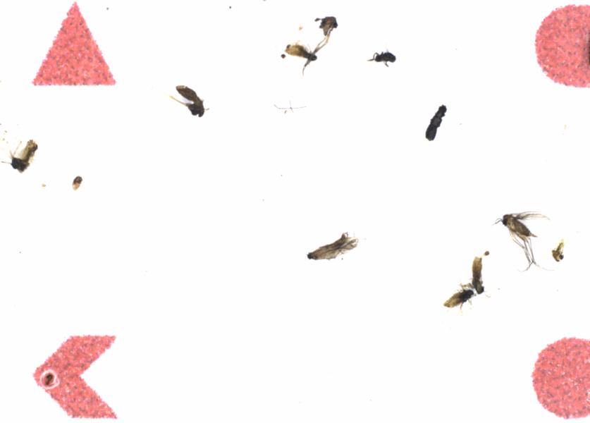 Fullscreen Image
