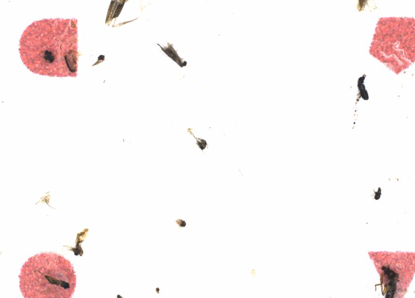 Fullscreen Image