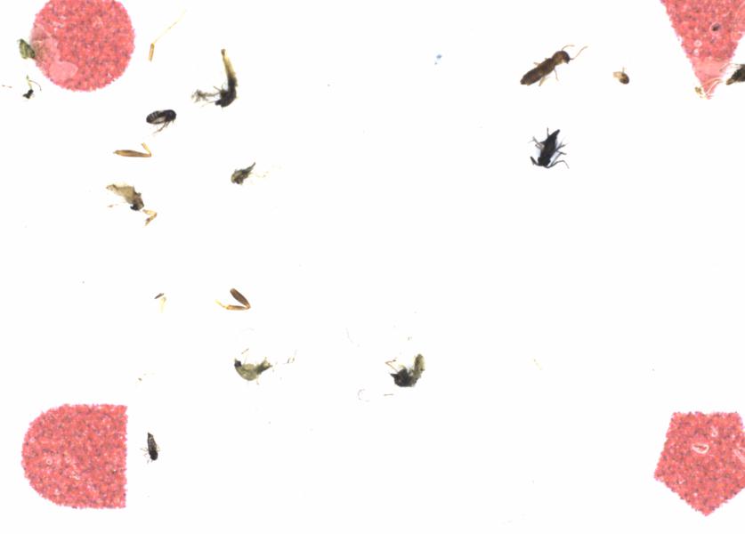 Fullscreen Image