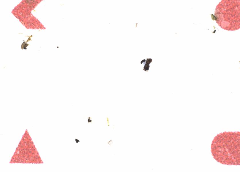 Fullscreen Image