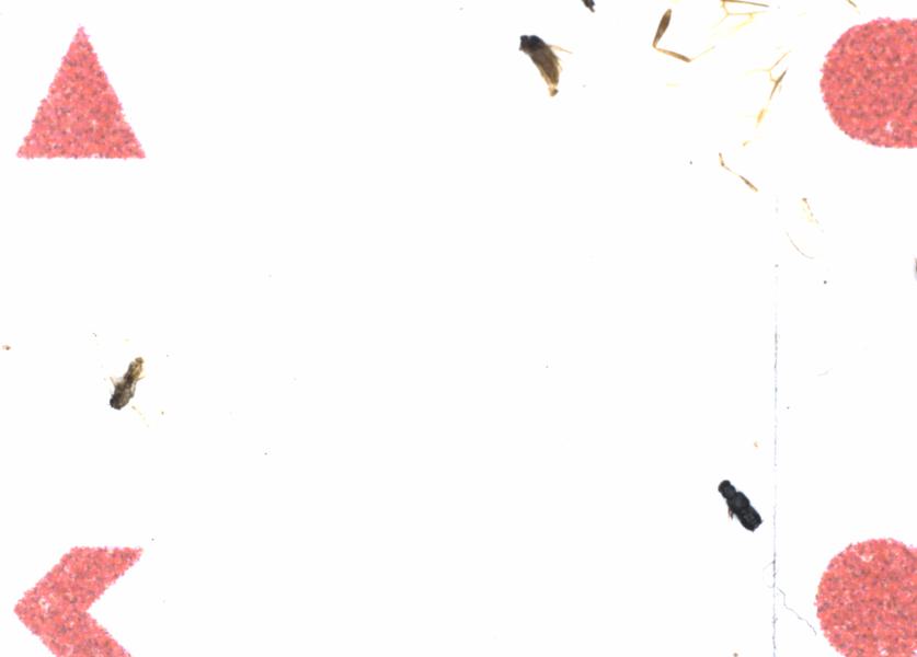 Fullscreen Image