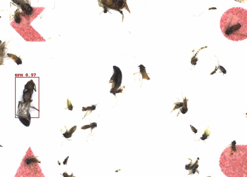 Fullscreen Image