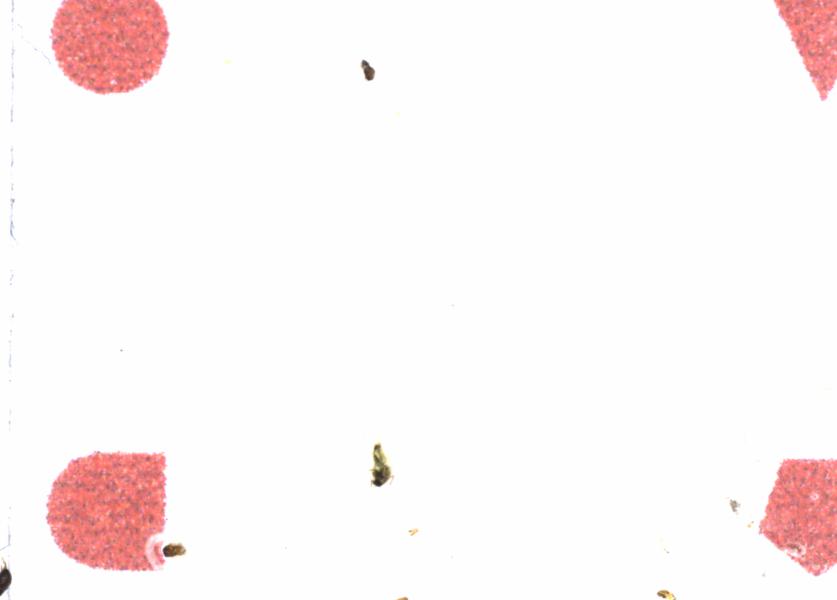 Fullscreen Image