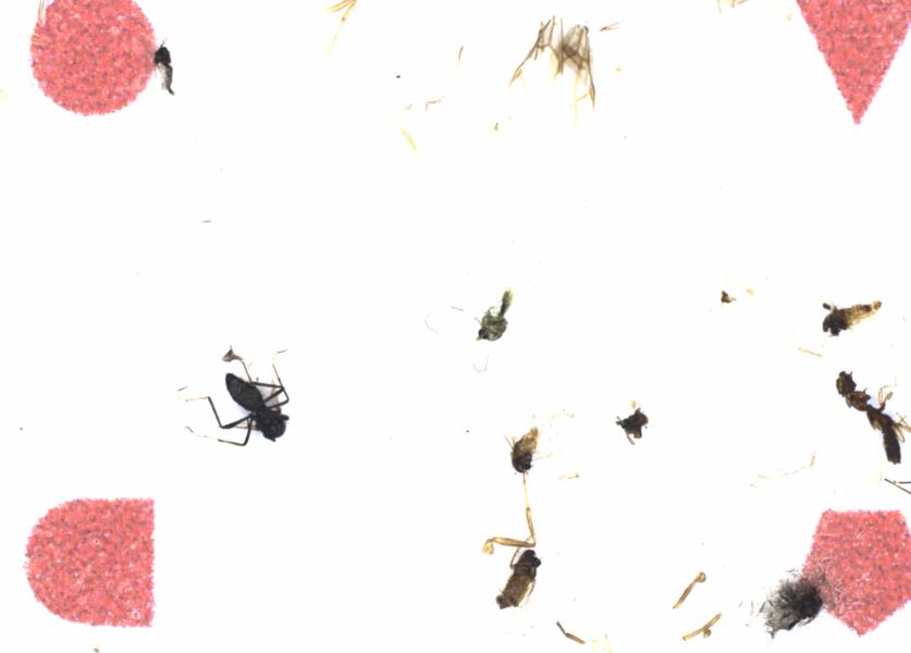 Fullscreen Image
