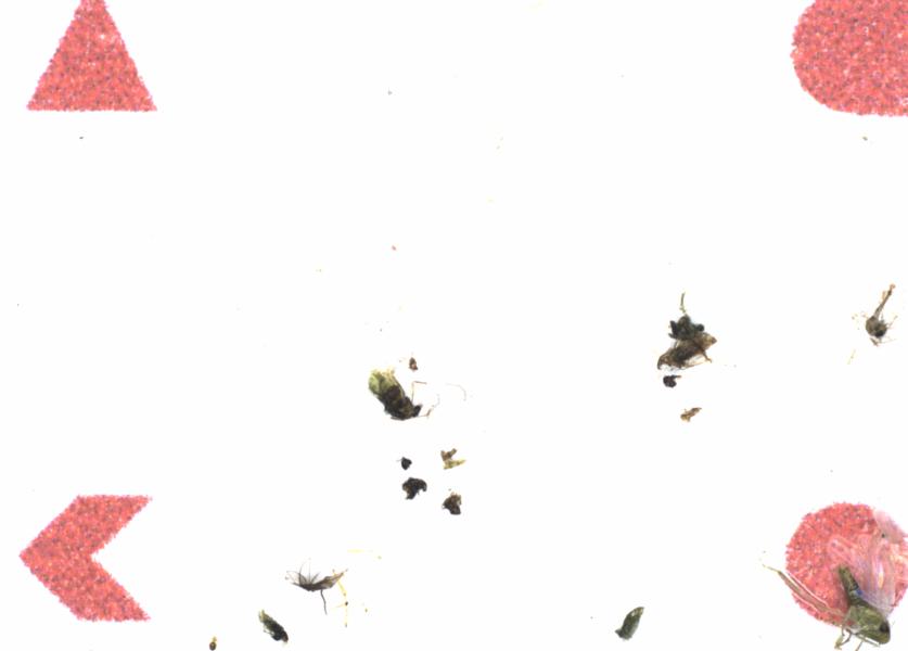 Fullscreen Image