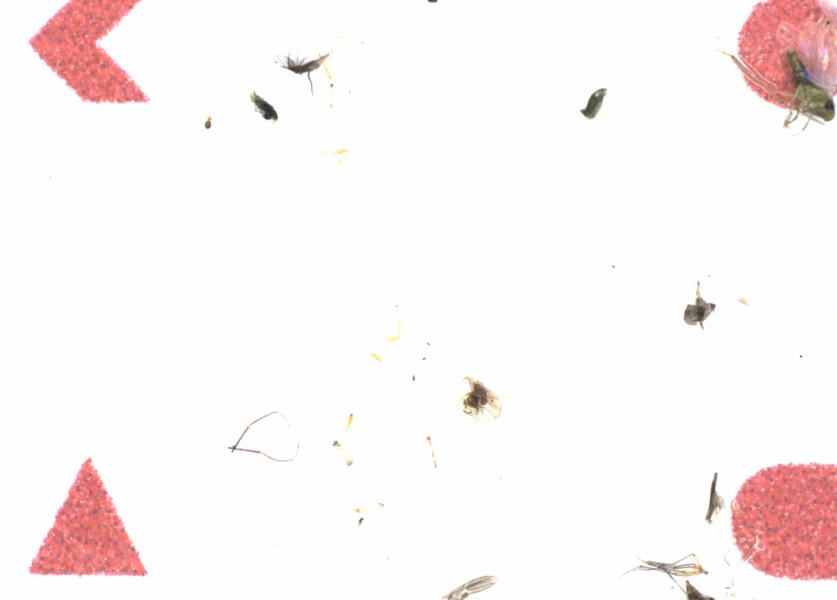 Fullscreen Image