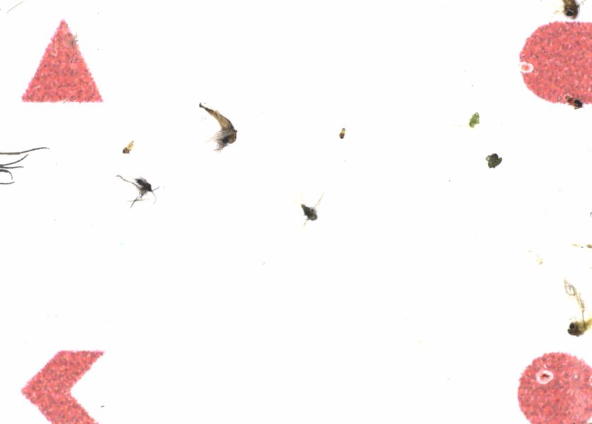 Fullscreen Image