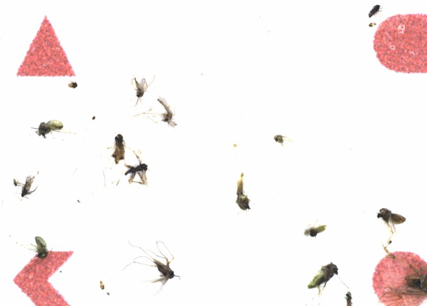 Fullscreen Image