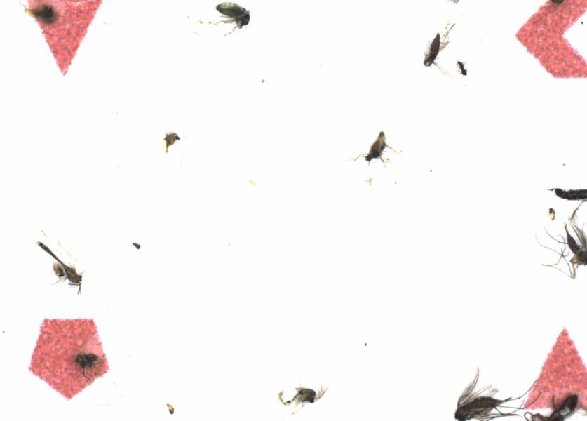Fullscreen Image