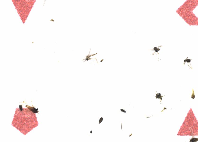 Fullscreen Image