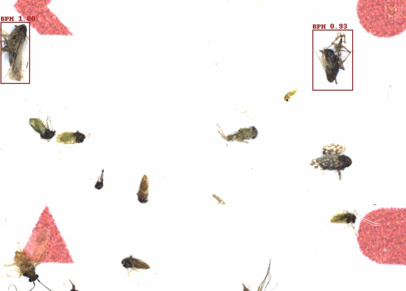 Fullscreen Image