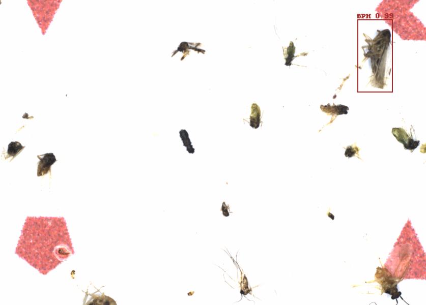 Fullscreen Image