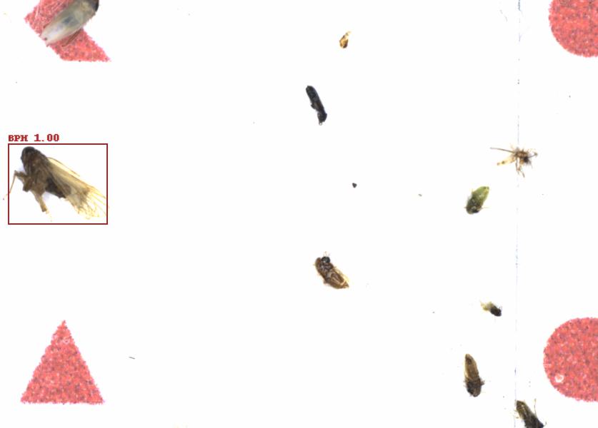 Fullscreen Image