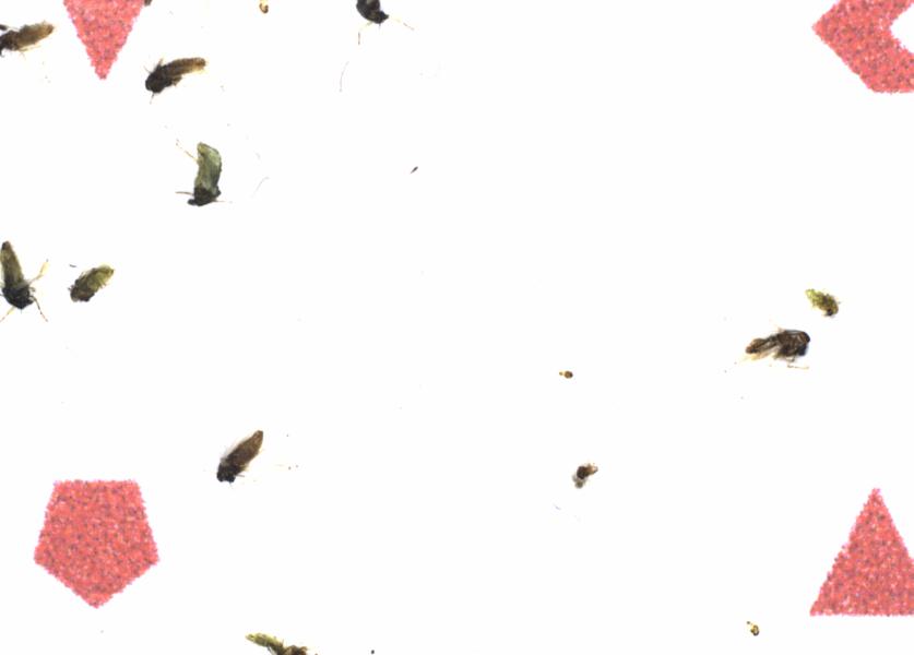 Fullscreen Image