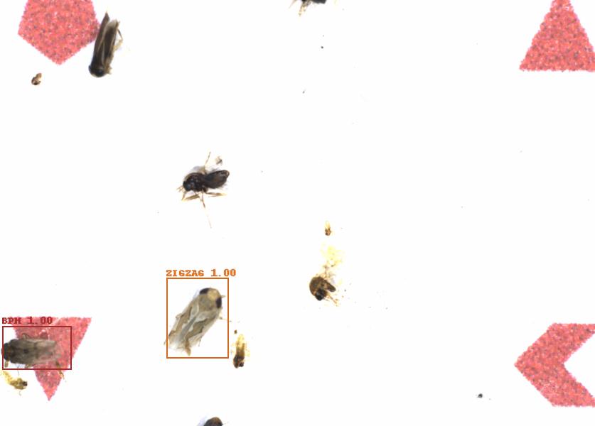 Fullscreen Image