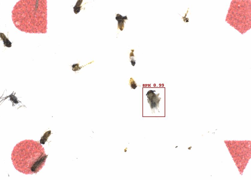 Fullscreen Image