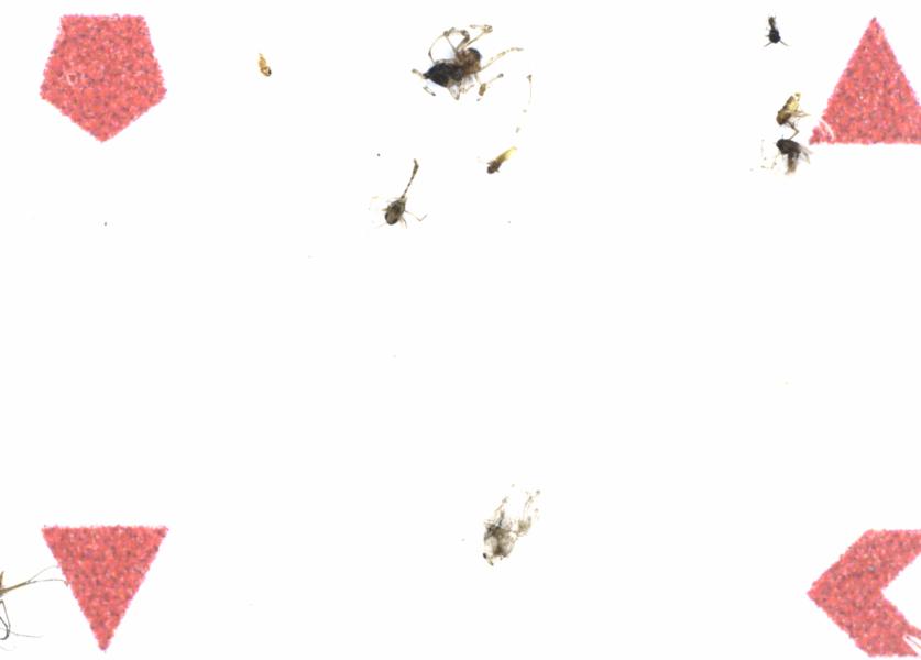 Fullscreen Image