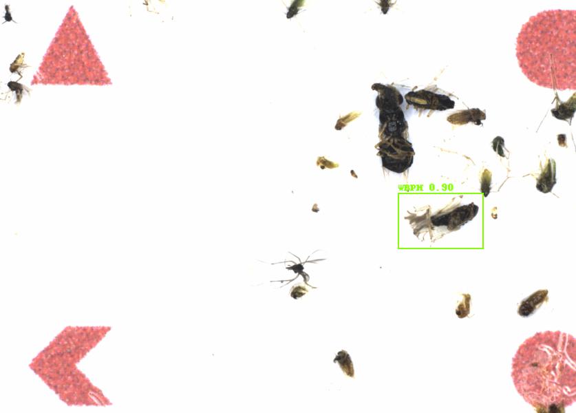 Fullscreen Image