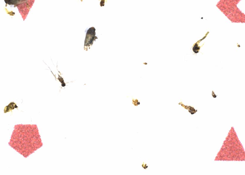 Fullscreen Image