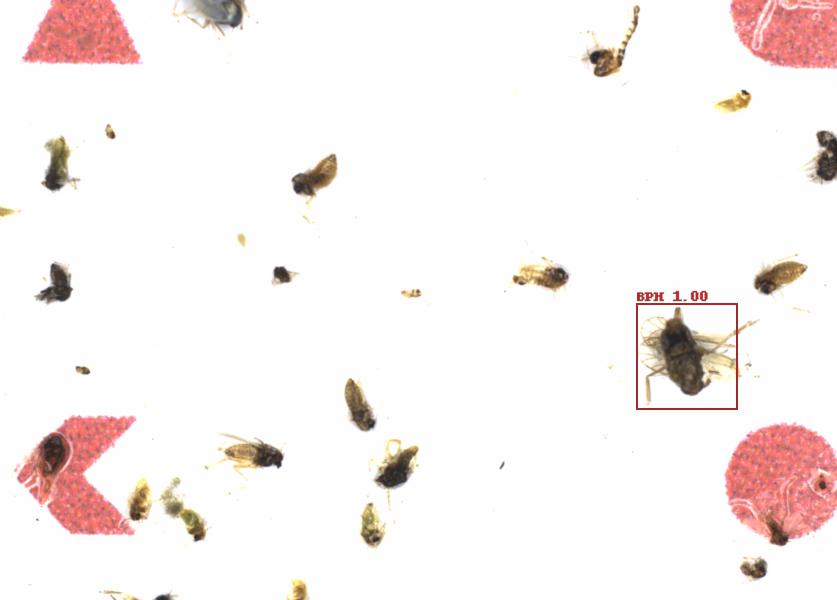 Fullscreen Image
