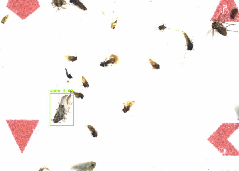Fullscreen Image