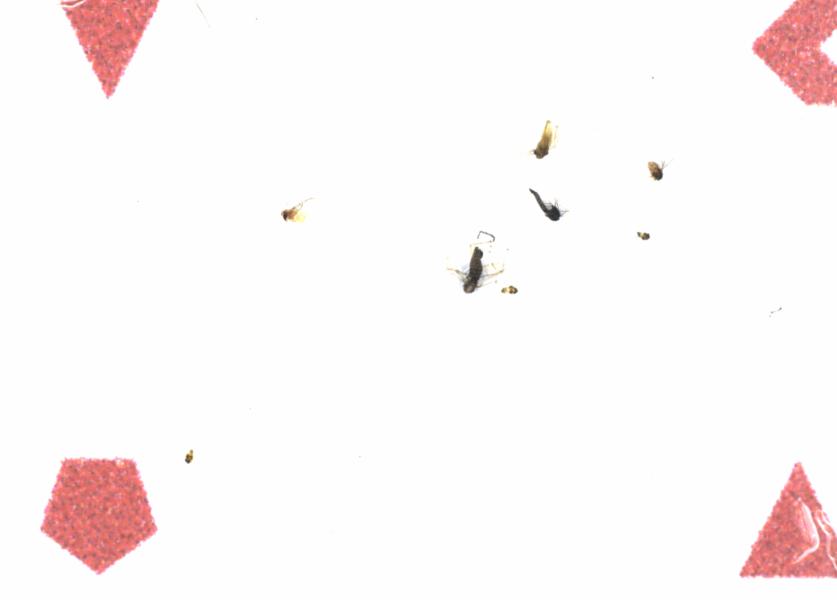 Fullscreen Image