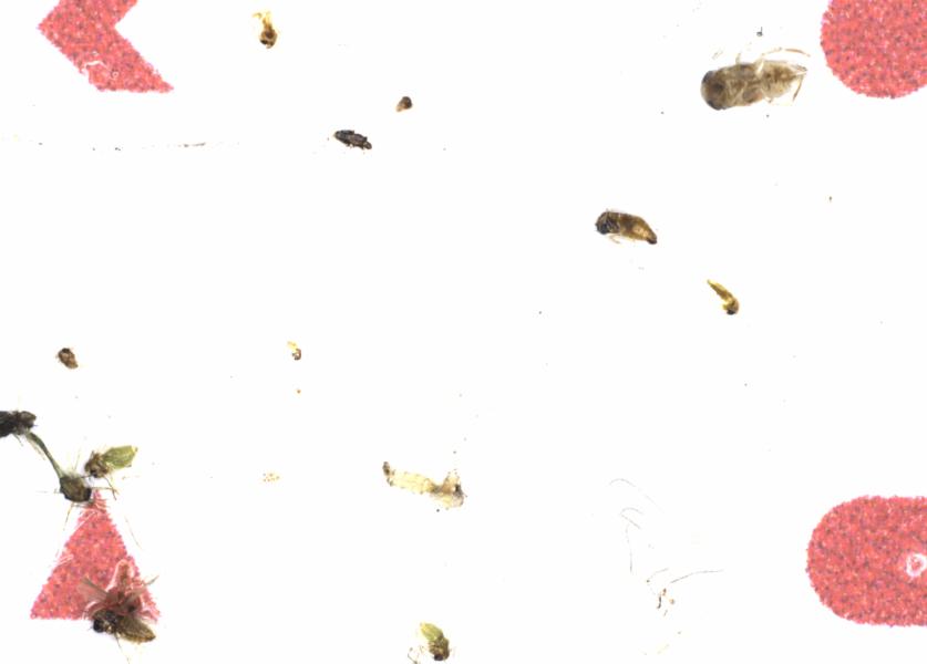 Fullscreen Image