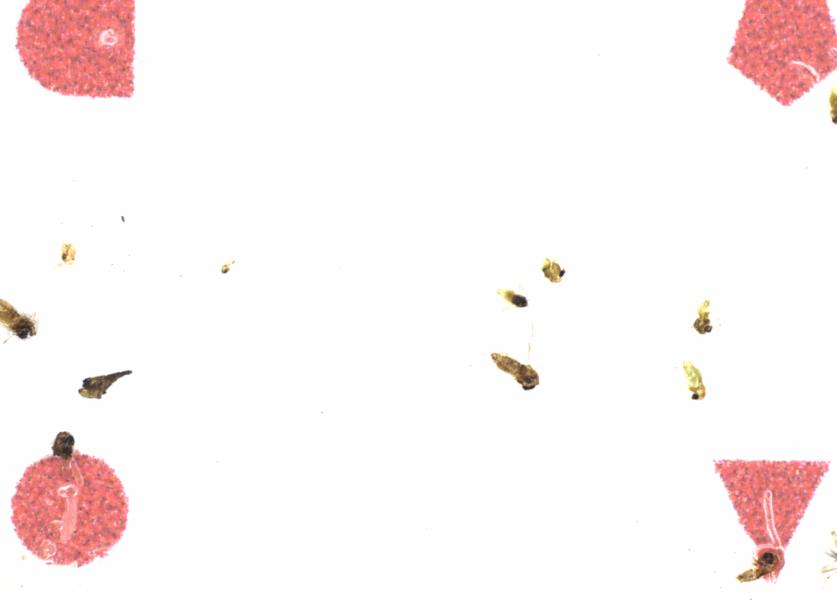 Fullscreen Image