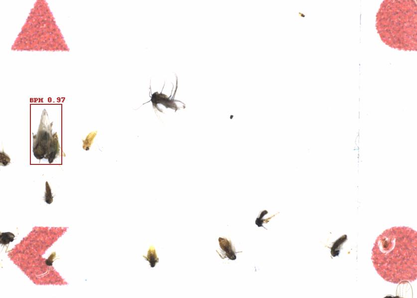 Fullscreen Image