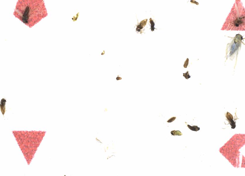 Fullscreen Image