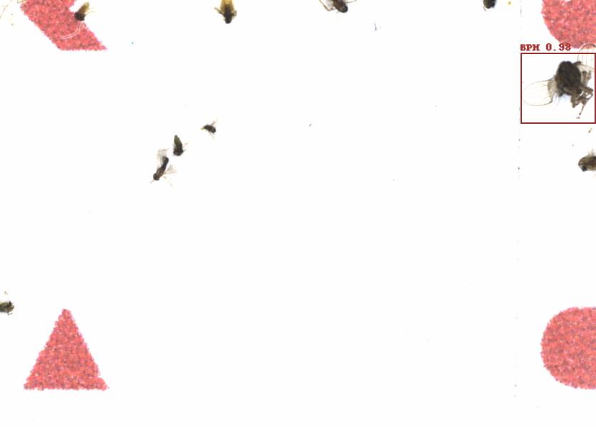 Fullscreen Image
