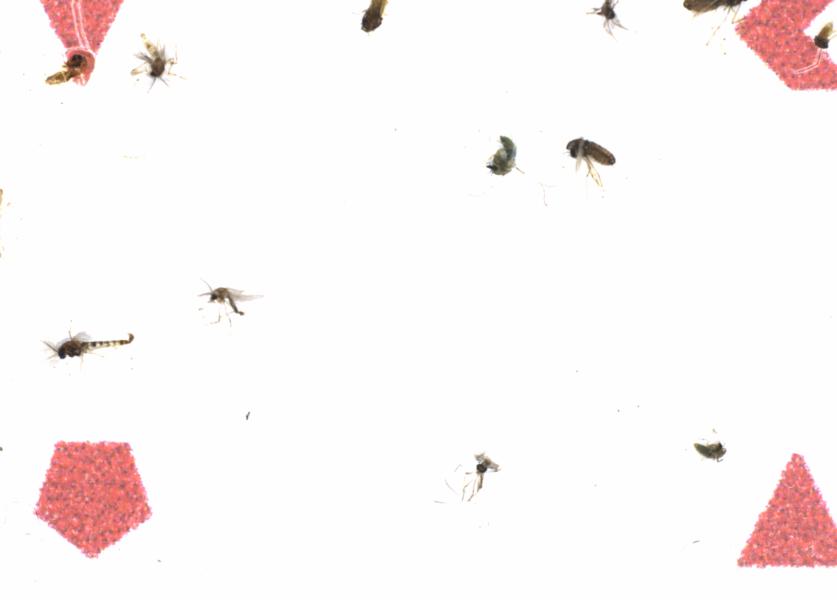 Fullscreen Image